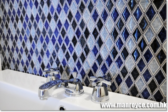 Blue Washroom Glass Wall 2
