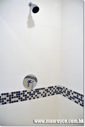 Glass Tiles Shower room