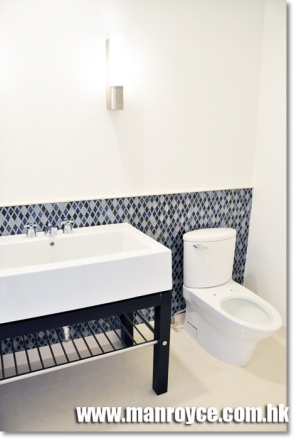 BLUE WASHROOM GLASS WALL 3