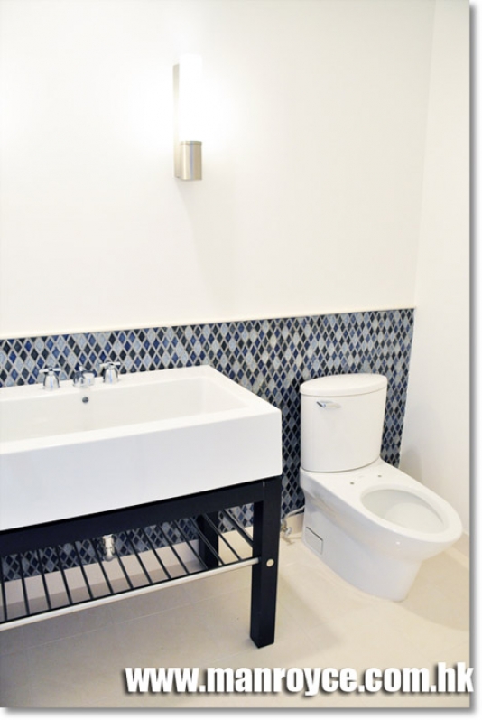BLUE WASHROOM GLASS WALL 3