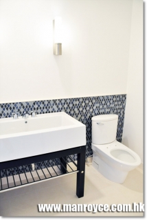BLUE WASHROOM GLASS WALL 3
