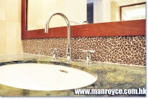 Washroom Glass Border 4